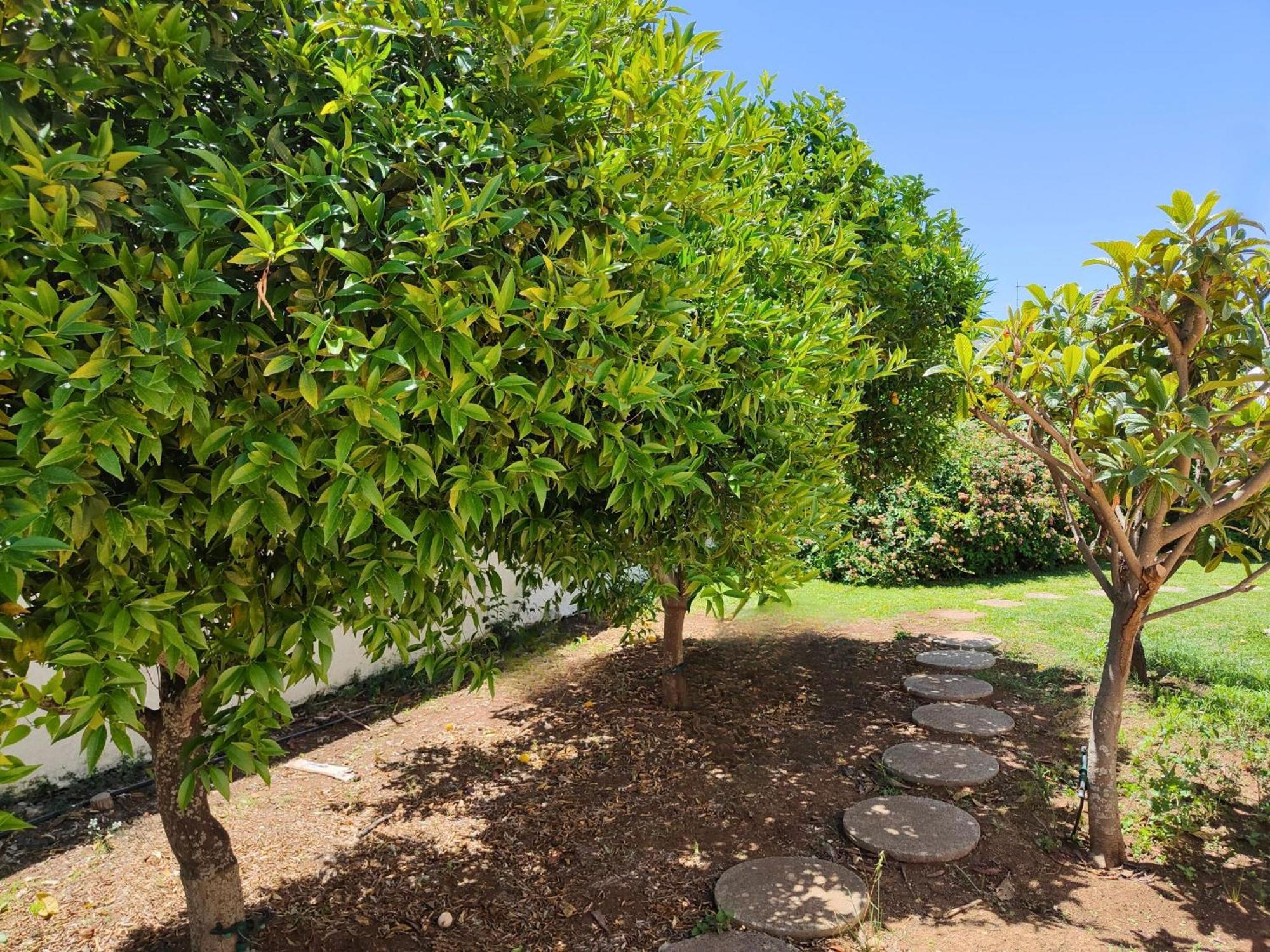 Villa Alfonsa, Fontane Bianche, Siracusa, Private Pool, 10Min From The Beach ภายนอก รูปภาพ